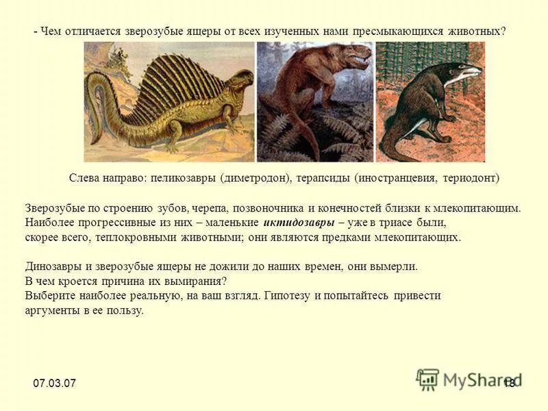 Сходства млекопитающих и пресмыкающихся. Размножение плацентарных млекопитающих. Зверозубые ящеры предки. Отличие земноводных от реп. Сходства и различия млекопитающих и рептилий.