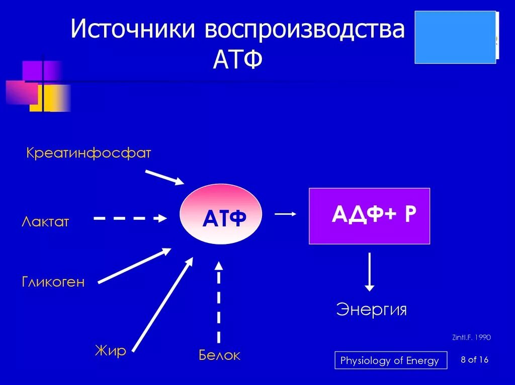 Функции атф