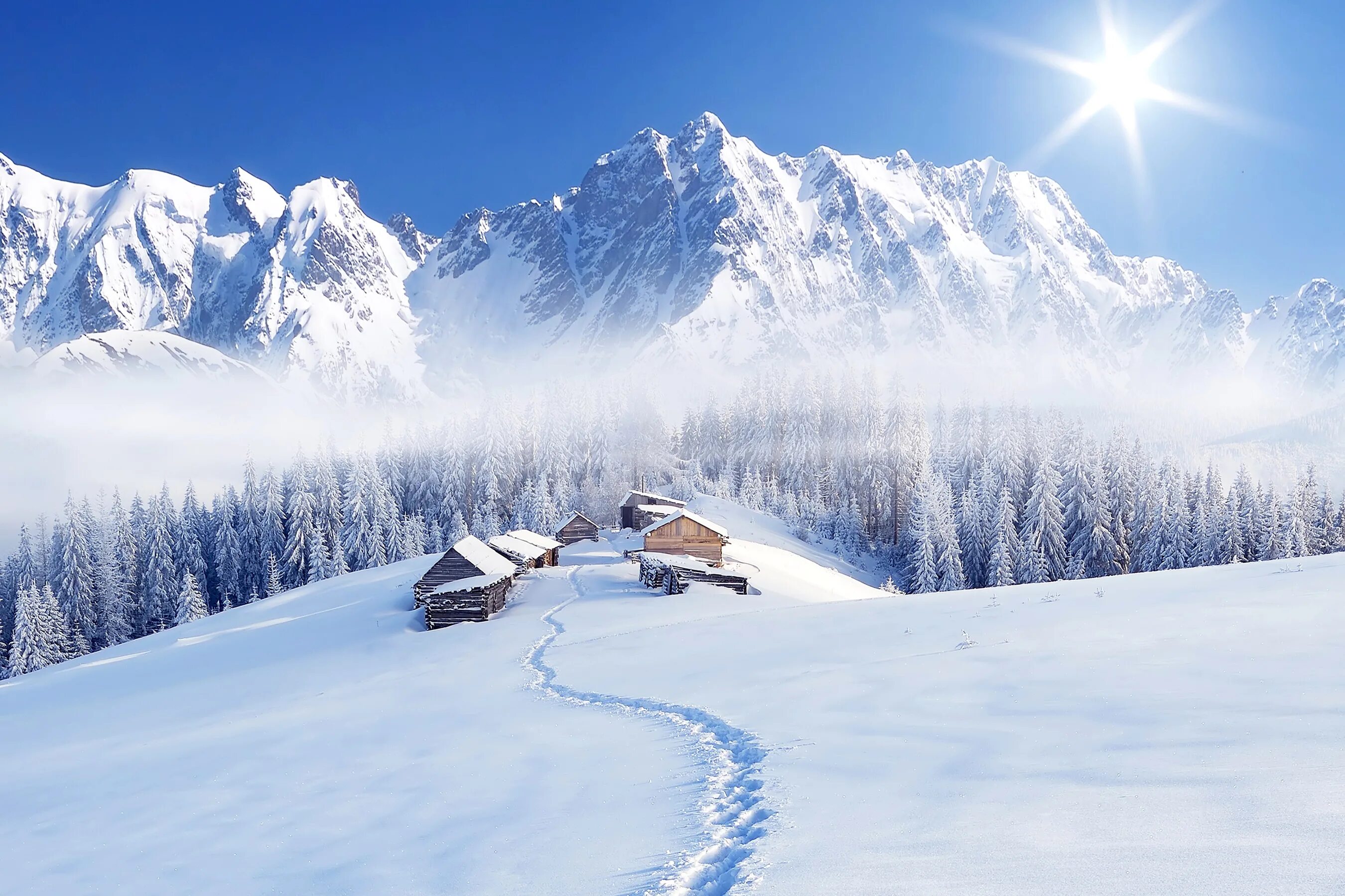 Snowy split