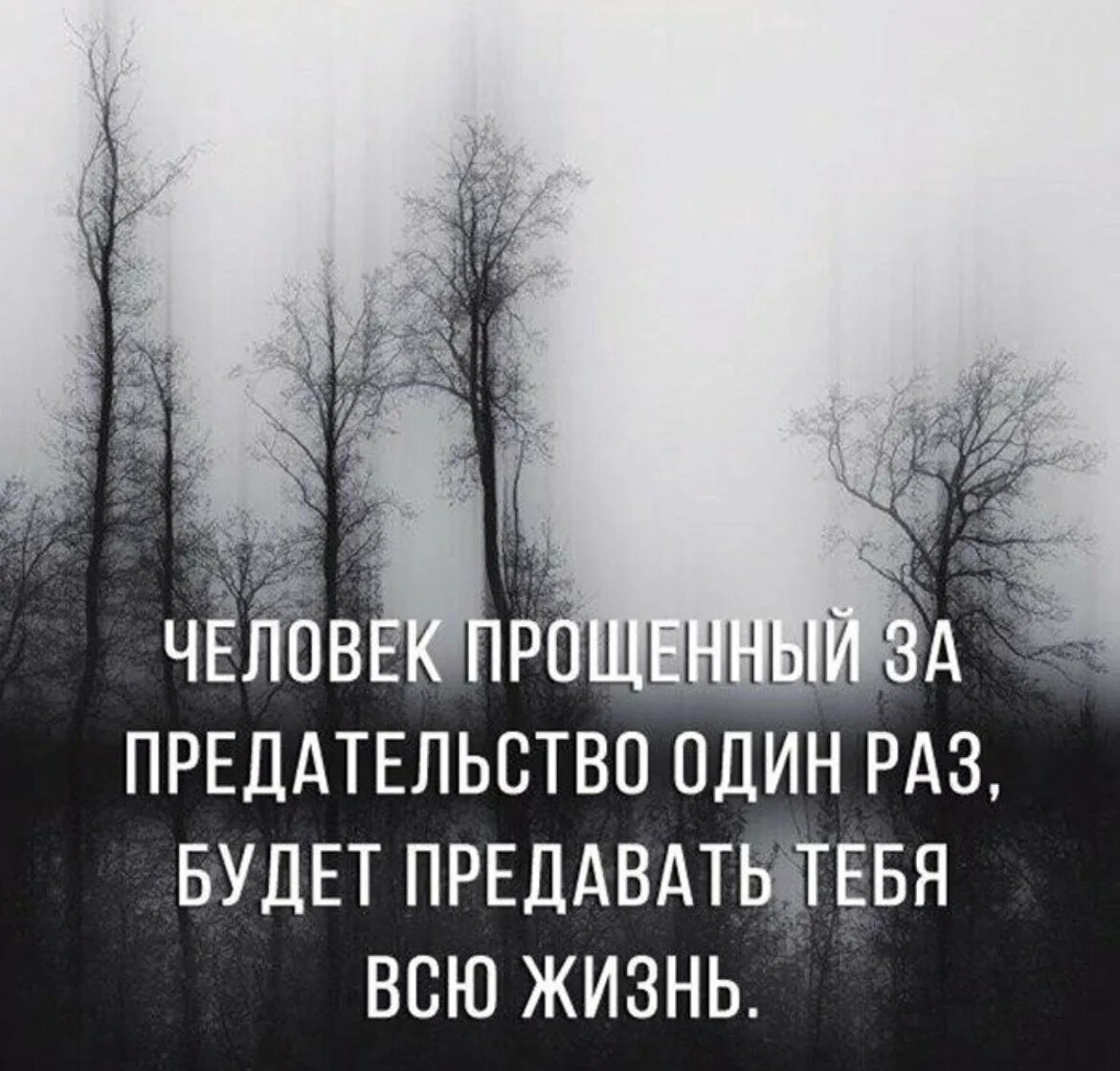 Изменила просила прощение. Прощать нельзя цитаты. Измену прощать нельзя. Нельзя прощать предателей цитаты. Цитаты про предателей.