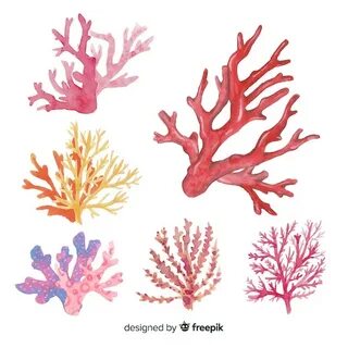Коралловый рисунок