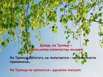 Гроза на троицу приметы