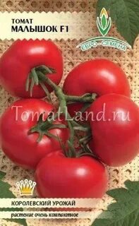 Томаты малышок
