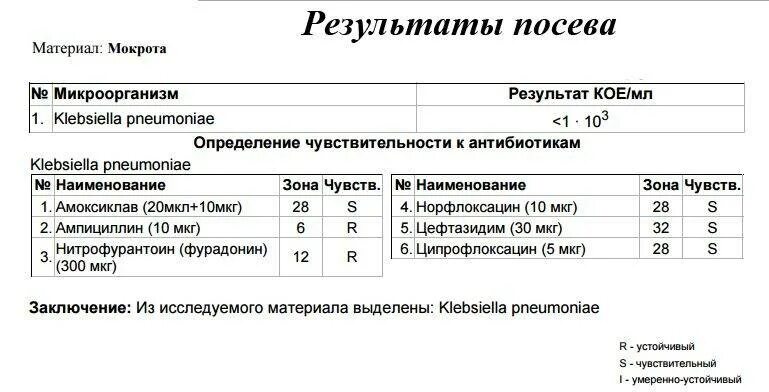 Результаты мочи на микрофлору. Бак посев на флору и чувствительность к антибиотикам норма. бак исследование мокроты заключение. анализы на бак посев расшифровка. расшифровка анализа бак посев мочи на микрофлору.