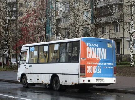 161 автобус спб
