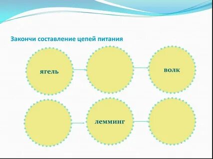 Цепи питания заканчиваются обычно закончи предложение