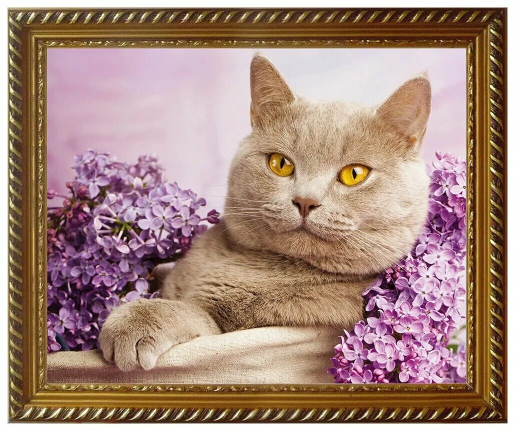Кошки сиренью. Кот и сирень. Алмазная мозаика котики. Алмазная вышивка кот. Сирень и котики.
