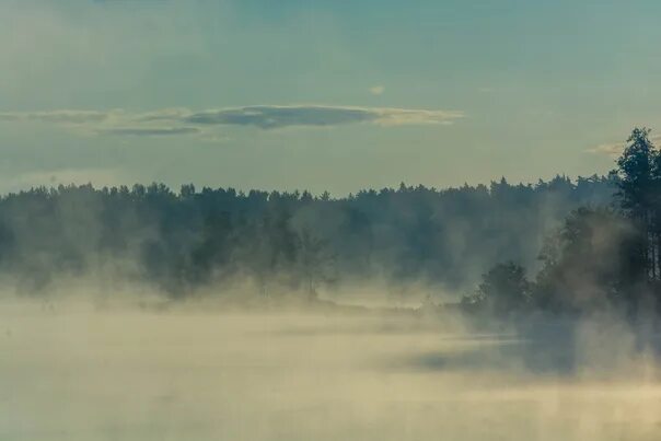 Туман 2023 отзывы. Туман над озером. Озеро в тумане. Туман озеро Данилово. Туман ВК фото.