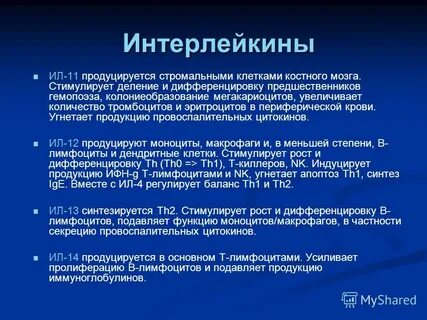 Секреция иммуноглобулинов