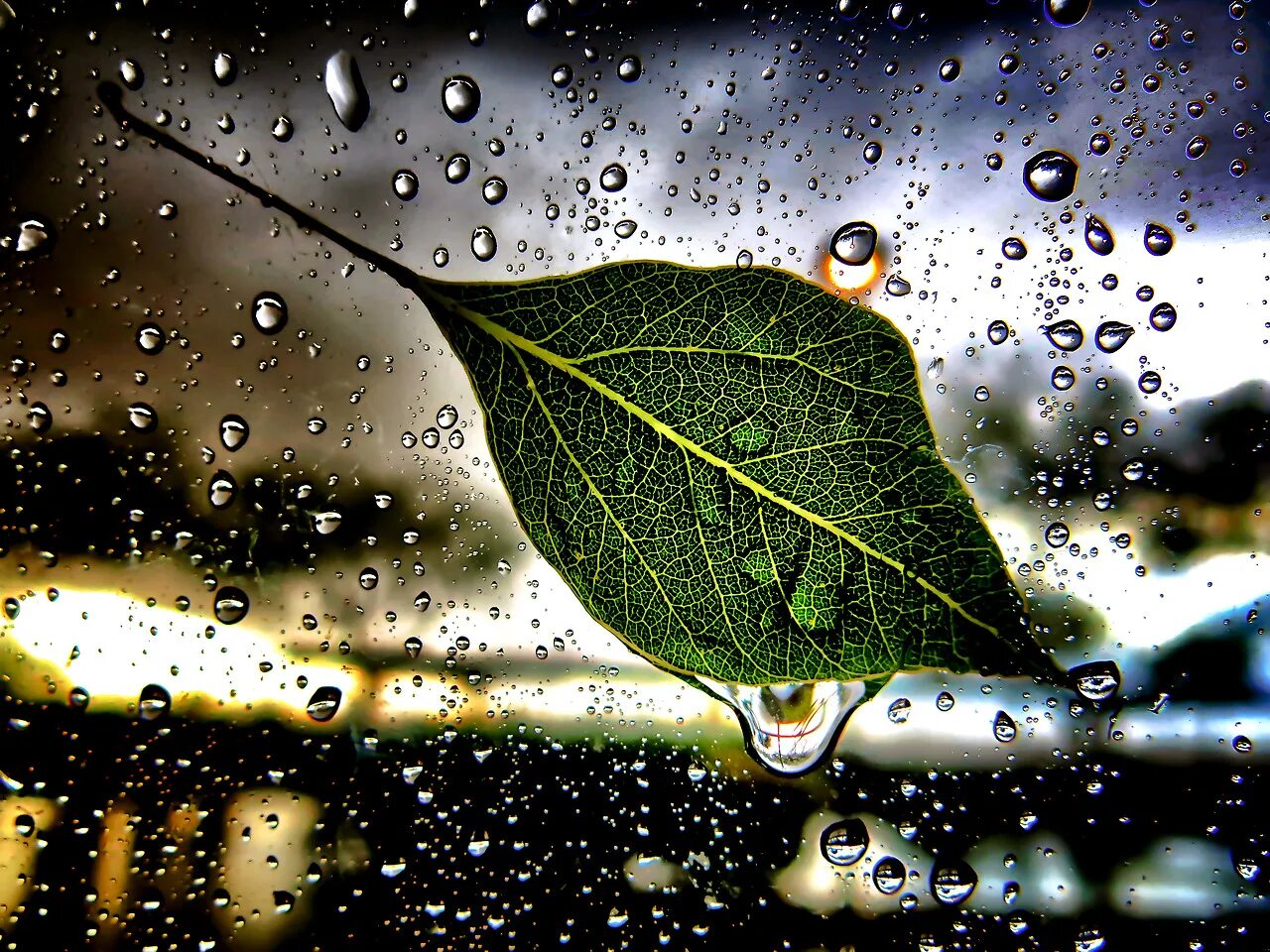 капли на окне. осенний дождь. дождливое окно. кофе с дождем группа. и только кофе с каплями дождя слушать.