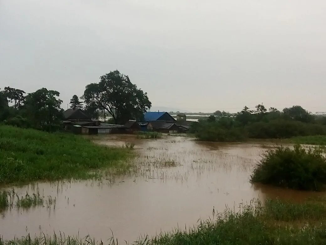 Прохладное приморский край надеждинский. Село Нежино Приморский край. Озеро Нежино Приморский край. Село Нежино Надеждинский район. Село прохладное Приморский край.