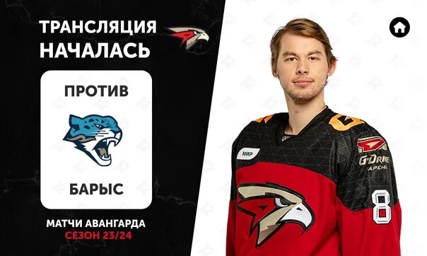 Чайка против омские ястребы. Санни рантала хоккей финляндия. 13 канал омск прямой эфир. 12 канал омск прямая трансляция хоккей. Телеканал 12 канал.