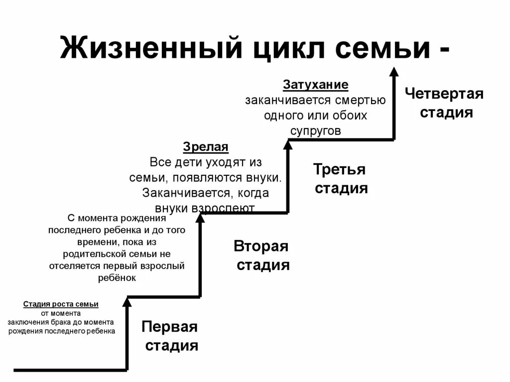 Жизненный цикл семьи состоит из четырех. Стадии жизненного цикла семьи.