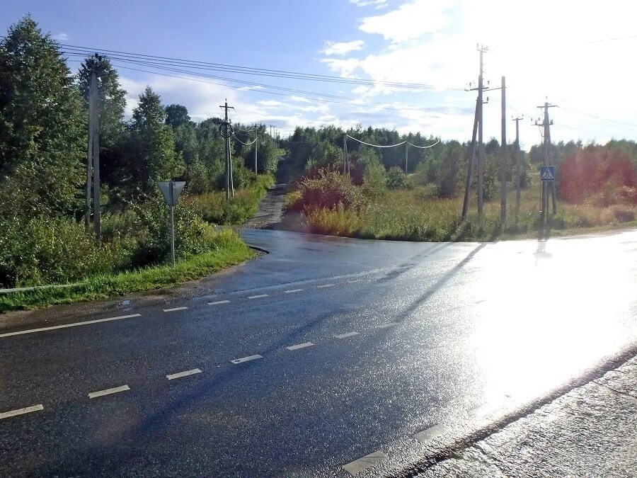 Деревня ростовцево. 10 гектар фото. Деревня яркино солнечногорский. Погода ростовцево солнечногорский. Снт высотник.