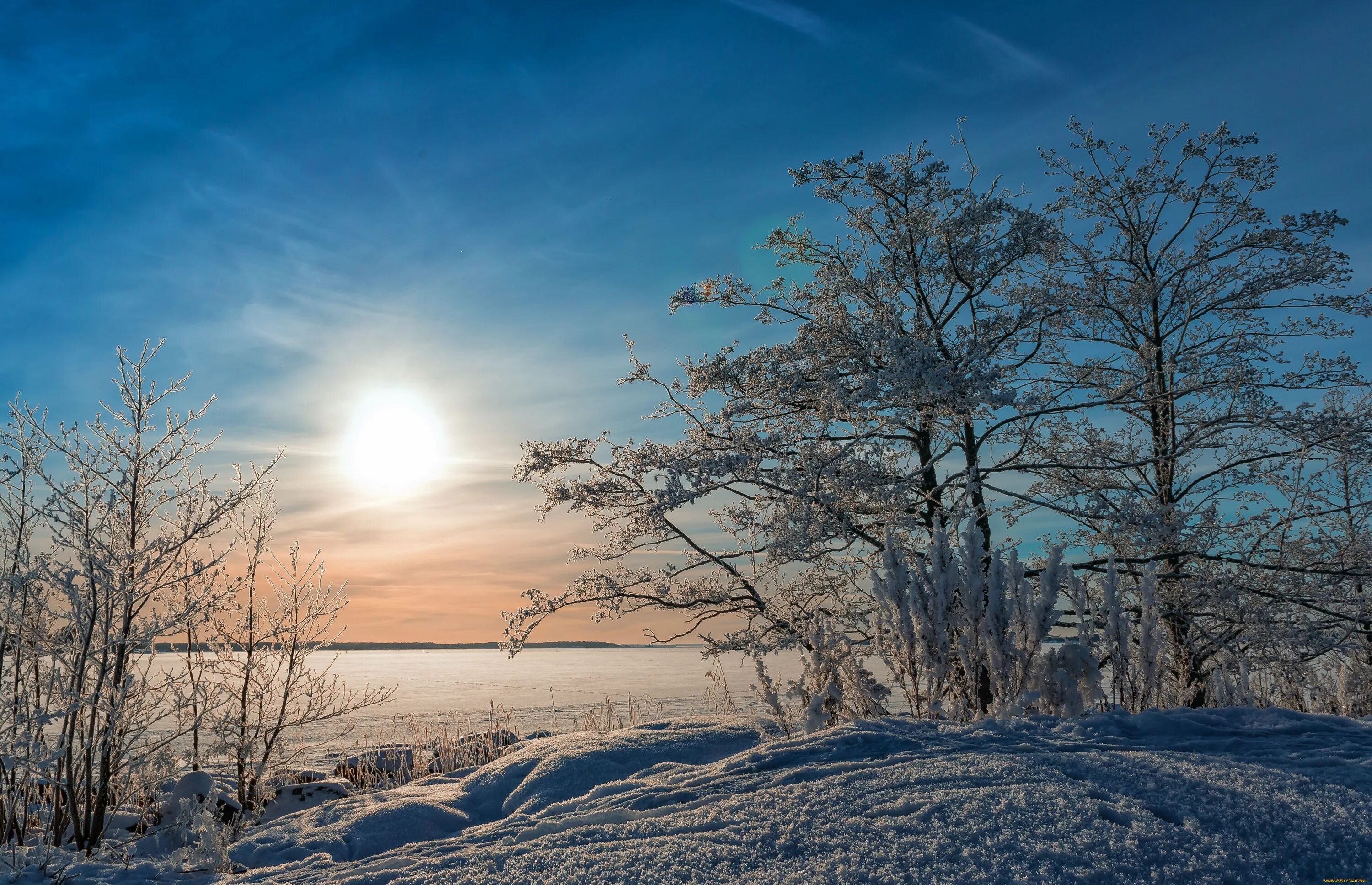 Утро природа февраль. Солнечный зимний день. Зима пейзаж. Февральский пейзаж. Зимнее утро.