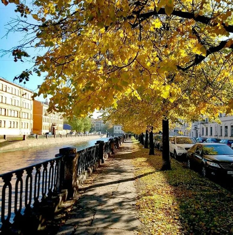 Какая осень в спб. Какая осень в спб. Гатчинский дворец в санкт-петербурге. Золотая осень 960 1118. Золотая осень в санкт-петербурге.