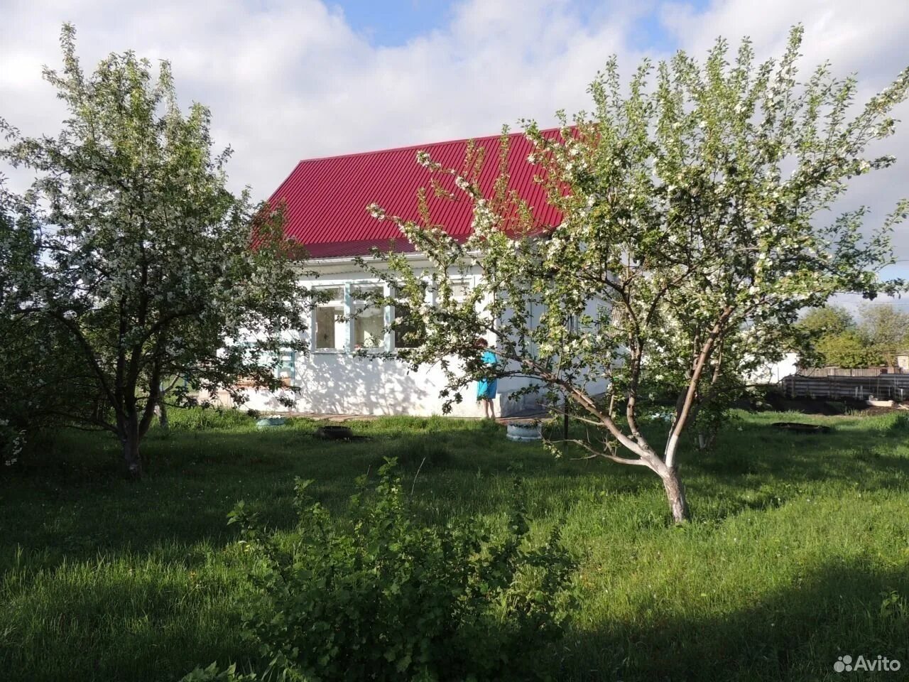 Село. Берёзовая. Коаснощековский. Район. Алтай. Березовка Краснощековский район Алтайский край. Березовка Павловский район Алтайский край. Село Березовка Краснощековский район. Дом березовка алтайский край