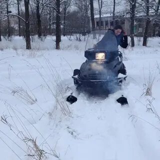 Абрамов пушкин