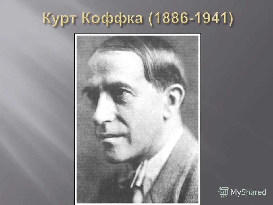 Тип курт. Курт коффка (1886-1941). вольфганг кёлер курт коффка. курт коффка психолог. гештальт психология курт коффка.