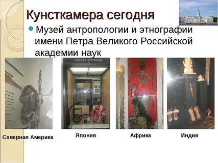 Музей кунсткамера история