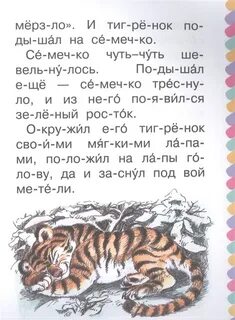 Сказка про тигренка