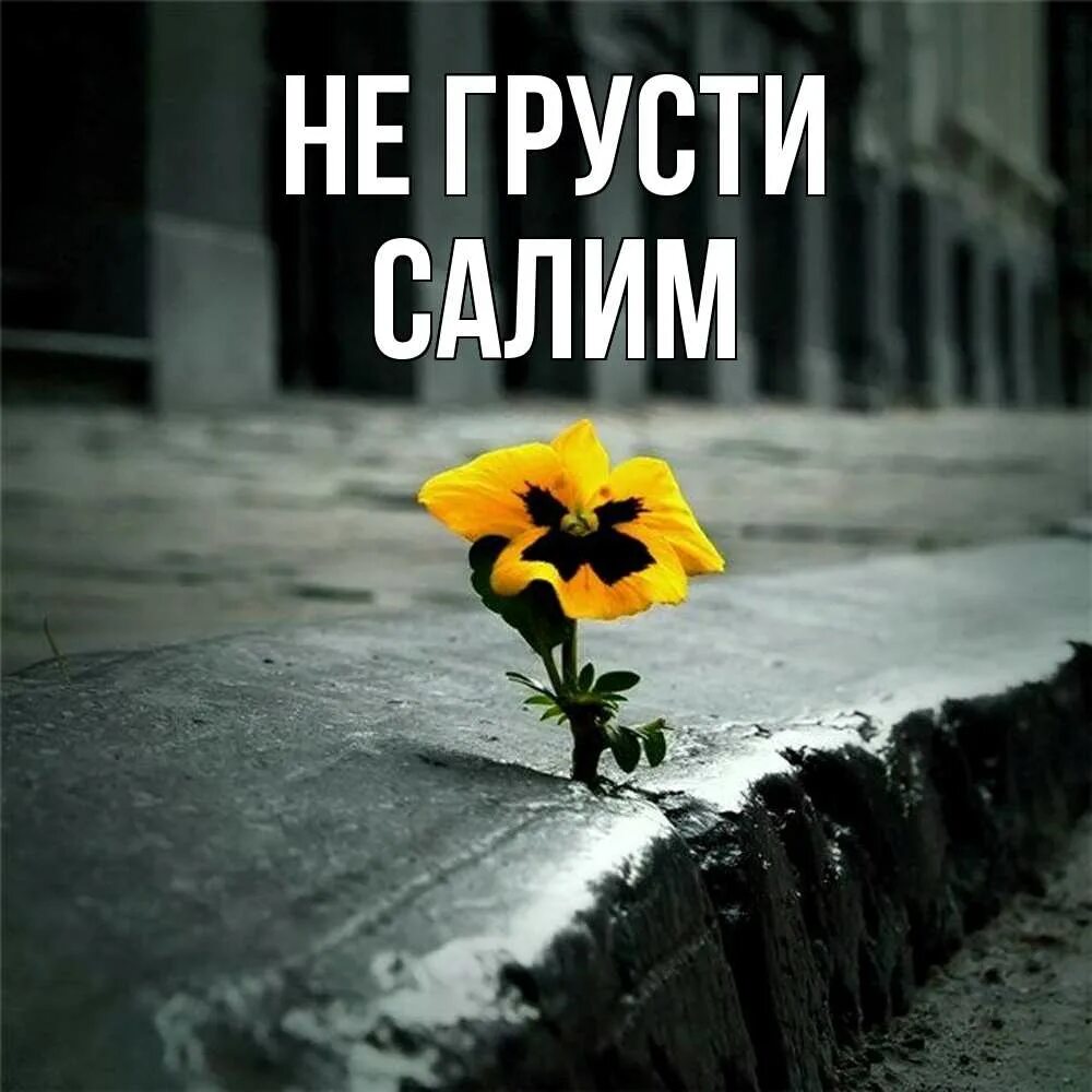 Не грусти зятек. Не грусти. не грусти все будет хорошо. не грусти картинки. открытка &quot;не грусти!&quot;.