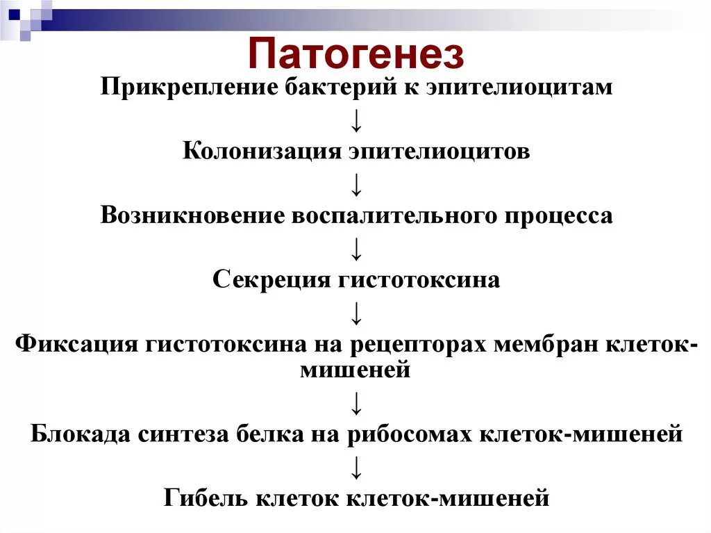 Дифтерия патогенез кратко. Патогенез дифтерии схема. Патогенез дифтерии инфекционные болезни. Дифтерия этиология патогенез. Этиология дифтерии