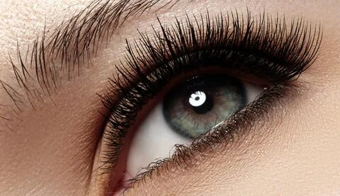 Lash ресницы