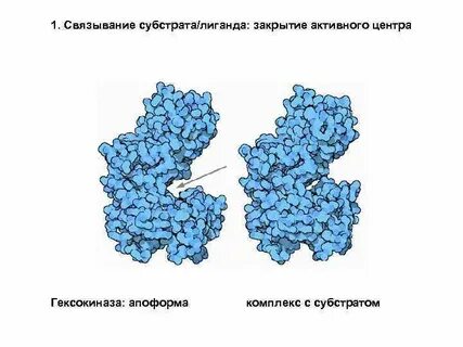 Субстрат белок