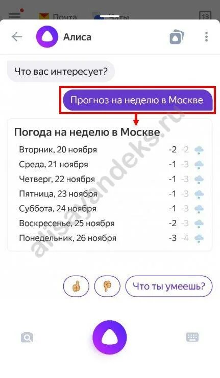 Можно ответ алисы. Секретные фразы для Алисы. Алиса как учить. Чему можно научить Алису. Запросы для Алисы.