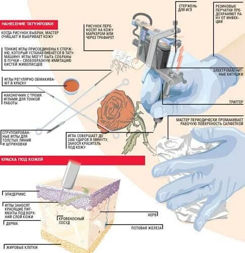 Сколько нужно держать тату. Вылет иглы тату машинки. Вылет иглы тату машинки для контура. Процесс нанесения Татуировки схема. Механизм нанесения Татуировки.