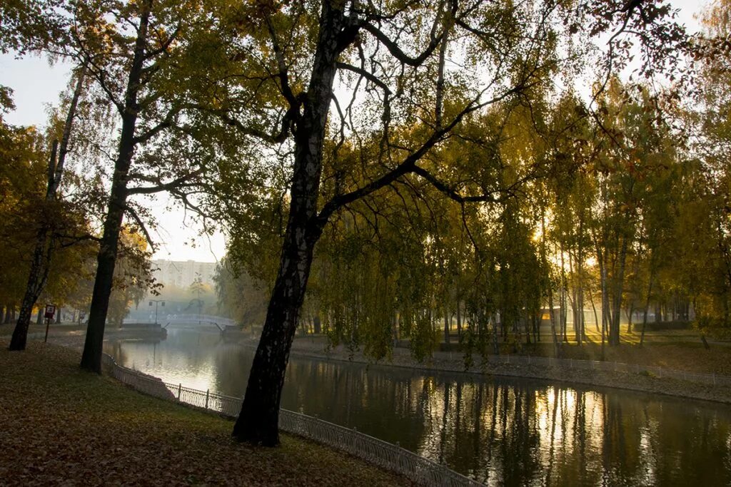 Лианозовский парк. Лианозовский парк пруд. Лианозовский пруд в парке. Лианозовский ПКИО.