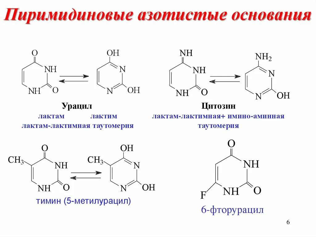 Соответствие азотистых оснований рнк. Соответствие азотистых оснований рнк