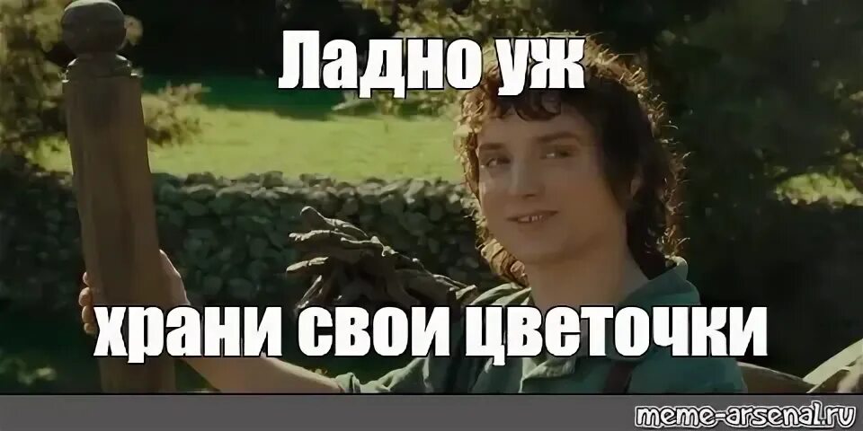 Ладно уж храни. Ладно храни свои секреты. фродо храни свои секретики. ладно уж мем. фродо ладно уж храни свои секреты.