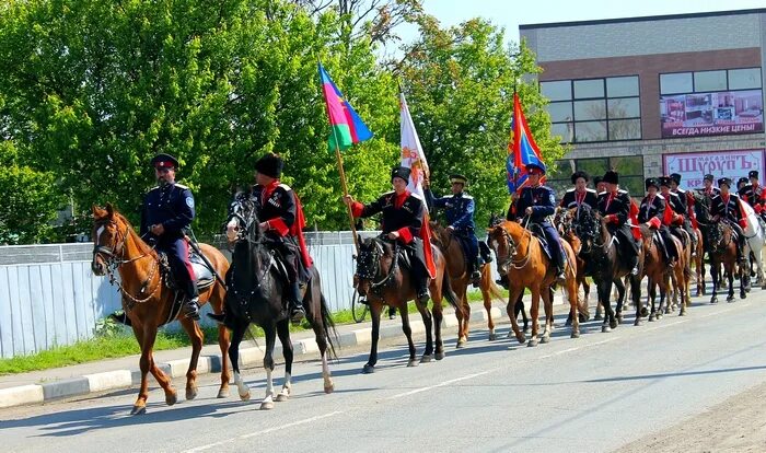 31 донской казачий полк. казачья сотня в степи. казаки фото. яицкое казачье войско. 14 донской казачий полк.