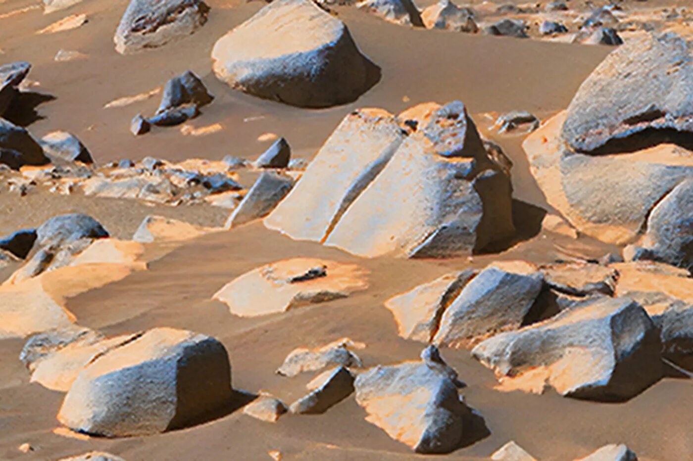 На марсе возможна жизнь. Тайваньский уфолог Скотт Уоринг. Снимки Марса Скотт Уоринг. Снимки с марсохода 2022. Марс съемки марсохода.