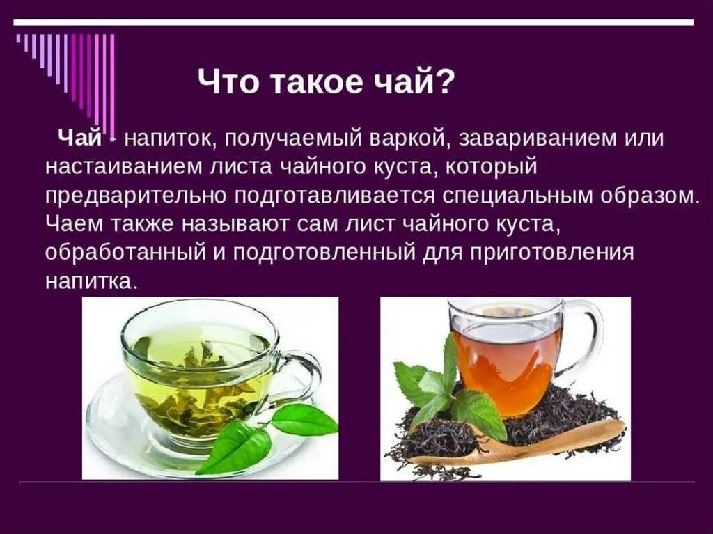 Чай какие значения. Чай полезный напиток. проект чай полезный напиток. чай для презентации. проект на тему чай.