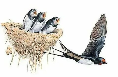 Жолдан өтіп бара жатқандарға оның кишесін көрсетеді