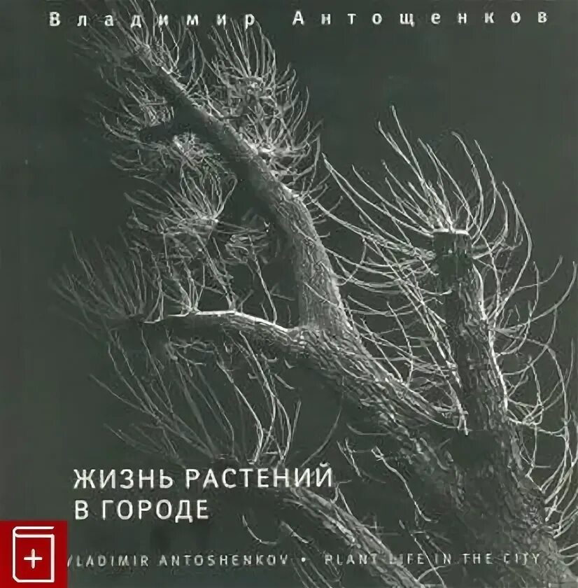 Книги о растениях. Лечебные травы книга. Растения в городе книга. Определитель растений россии книга. Растения в городе книга.