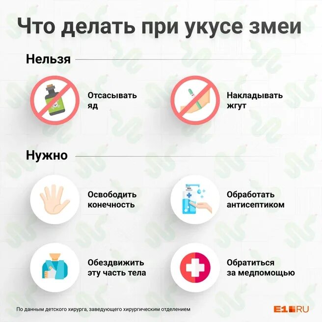 Оказание первой при укусе змеи. Профилактика укусов змей. Омар бывает ядовитым. Походу меня укусила змея надо отсосать яд. Походу меня укусила змея надо отсосать яд.