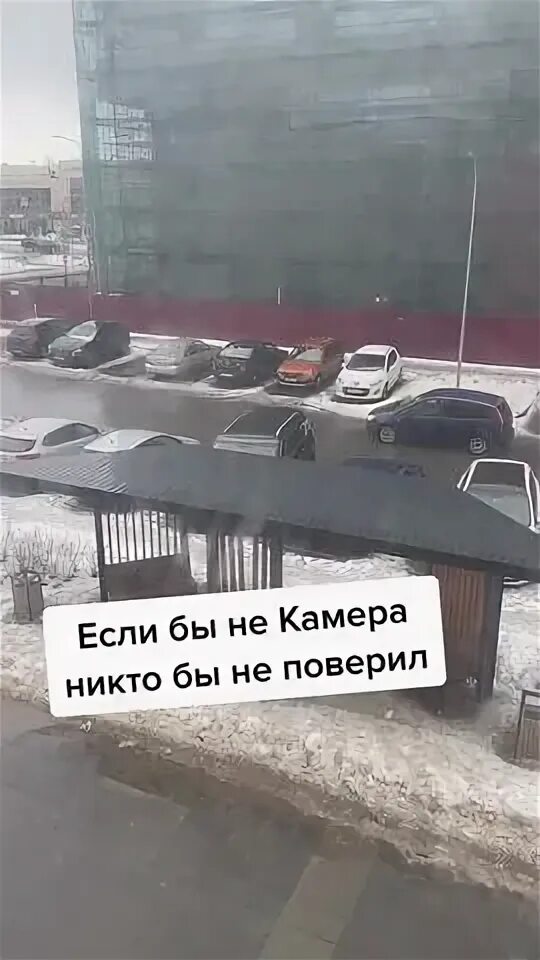 Такого еще не было в городе. Такого еще не было в городе