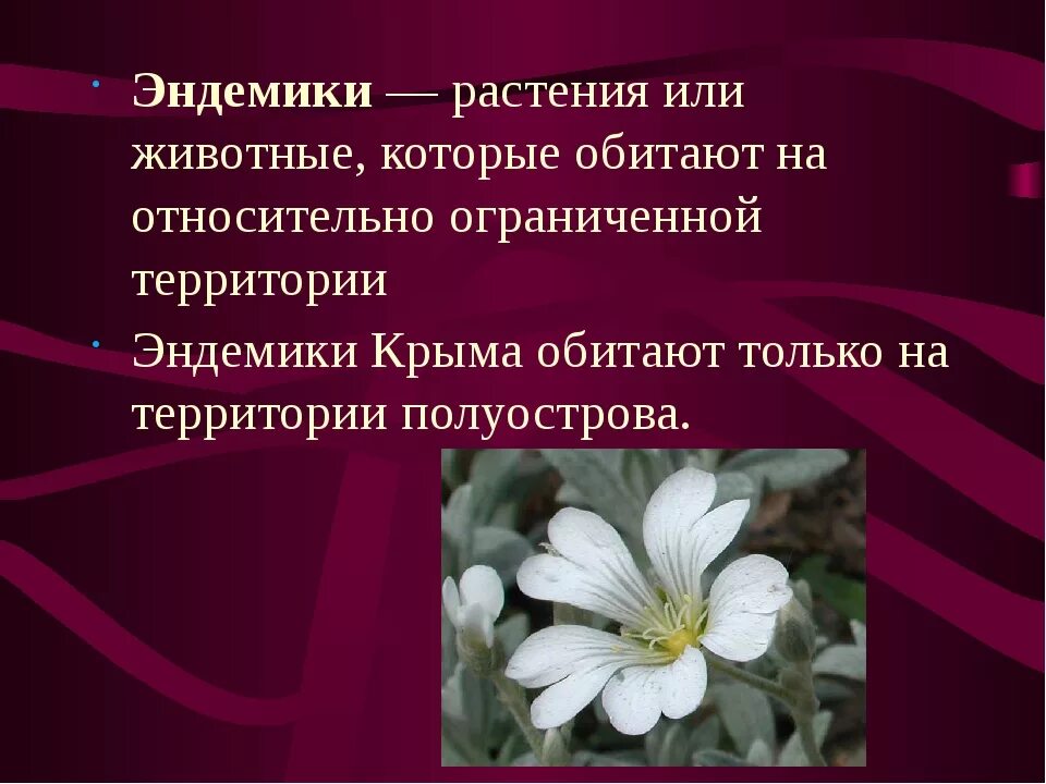 Эндемики растения. Эндемичные виды животных и растений. Что такое эндемичные и реликтовые виды растений и животных ?. Животные и растения эдемик.