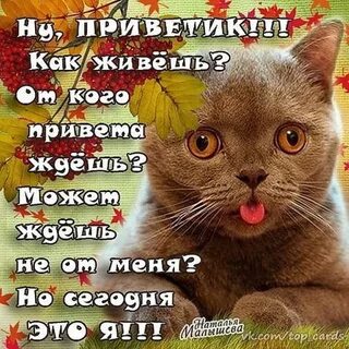 Привет доброе утро как дела