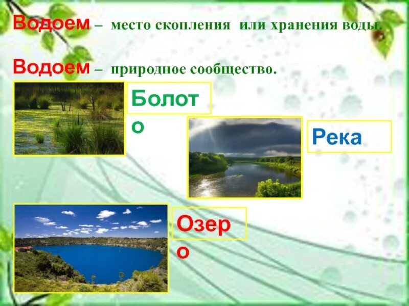 Природное сообщество водоем 3 класс окружающий. Природное сообщество водоем. природное сообщество водоем доклад. природные сообщества озёр и прудов. природное сообщество озера презентация.