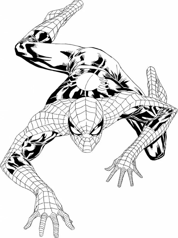 Раскраски spider man