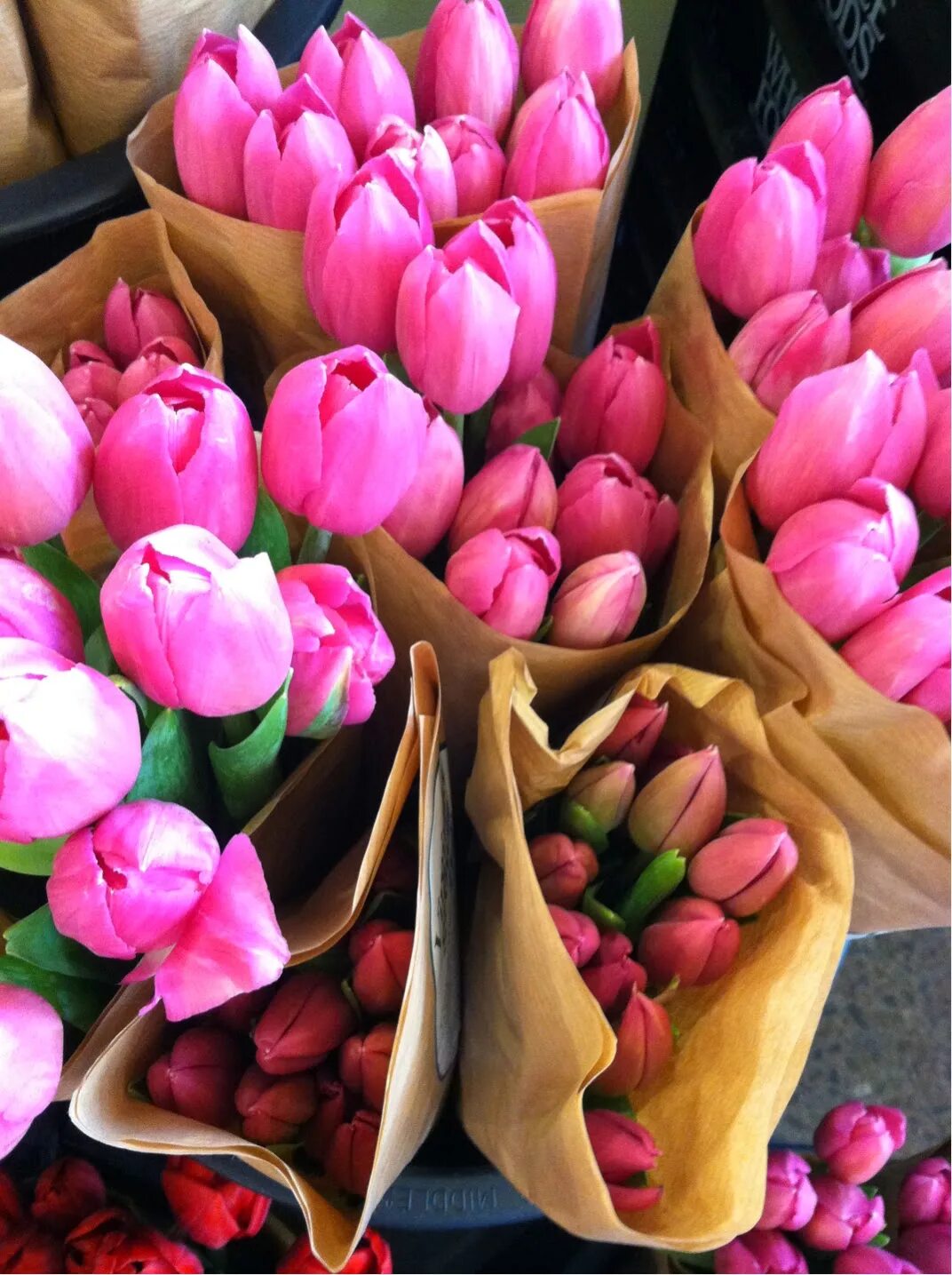 Тюльпаны стильные картинки. Красивые тюльпаны. Огромный букет тюльпанов. Стильный букет тюльпанов. Розовые тюльпаны.