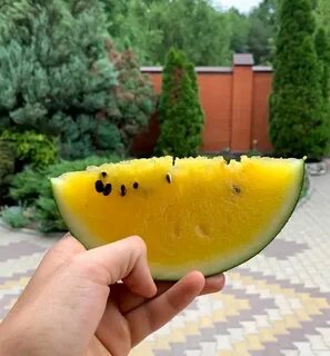 Желтый арбуз в магните