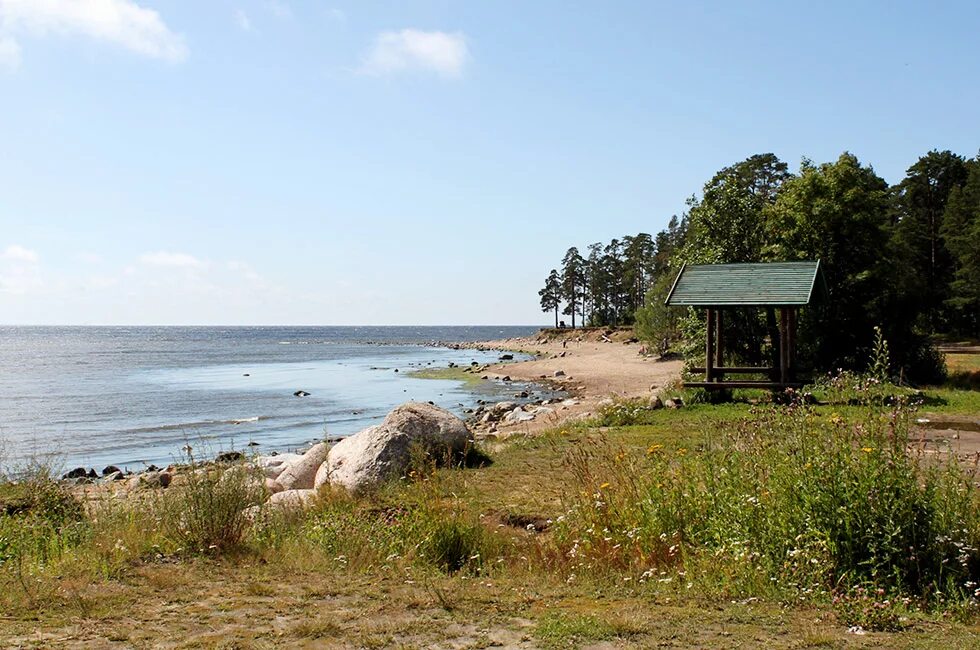 Зелёная роща ульяновск школа. Снт зеленая роща выборгский район ленинградская область. Пос зеленая роща ленинградской области. Пос зеленая роща ленинградской области. Поселок зеленая роща выборгский район.