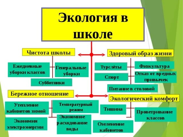 Год экологии школа. Экология в школе. Предмет экология в школе. Образ жизни и экология. Современная экологическая школа.