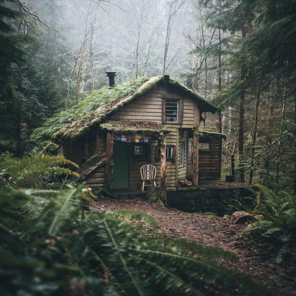 Pin on Cozy Feels Forest house, Lake house, House in the woods